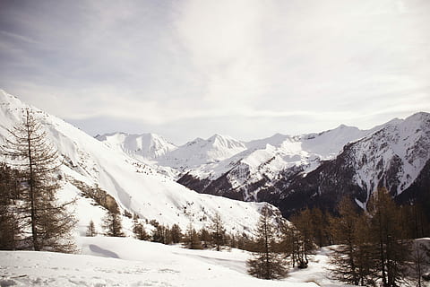 montagna innevata, innevato, montagne, alberi di pino, giorno, la neve, montagna, inverno, albero, sempreverde, collina, catena montuosa, bianca, sport, sciare, Ancelle, Francia, alpe, montare, foresta, temperatura fredda, scenics - natura, bellezza nella natura, cielo, nuvola - cielo, ambiente, paesaggio, la tranquillità, scena tranquilla, natura, Colore bianco, scena non urbana, nessuno, 4K, CC0, dominio pubblico, privo di copyright