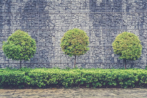 grønn, leaved trees, planter, trær, vegg, arkitektur, design, dekor, mønster, vegg bakgrunn, tekstur, parkere, hage, steiner, naturlig, materiale, natur, anlegg, bakgrunn, grønn farge, tre, murstein, eføy, vekst, bygget struktur, dag, ingen folk, veggbyggingsfunksjon, utendørs, bygge eksteriør, creeper plante, vann, murvegg, steinvegg, hekk, 4K, CC0, offentlig domene, opphavsrett gratis