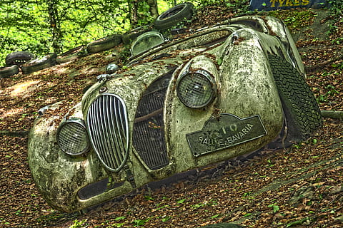 klassisk, grå, køretøj, grøn, blad plante, auto, bil kirkegård, oldtimer, gammel, rust, rustfri karre, rustfri, rusted, nostalgi, vrag, skrot, bil vraget, skrot bil, kasseret, historie, hukommelse, over, slukket, henfald, glemme, gamle biler, pensioneret, forældet, jaguar, jaguar xk c-type, c-typen, sportsvogn, Racerbil, tabte steder, pforphoto, gået i stykker, humør, dag, jord, ingen mennesker, transportform, natur, metal, transportmidler, træ, plante, Mark, blad, plante del, land køretøj, forladt, udendørs, kørt ned, Skov, dæk, hjul, 4K, CC0, offentligt domæne, royaltyfrie