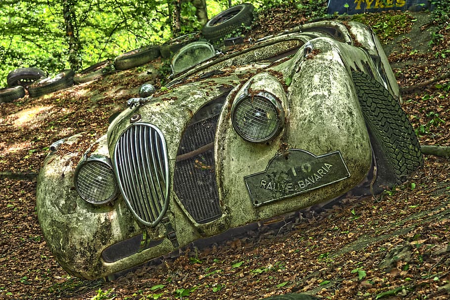 clàssic, gris, vehicle, verd, planta de fulla, automàtic, cementiri del cotxe, oldtimer, vell, òxid, karre inoxidable, inoxidable, rovellat, nostàlgia, naufragis, ferralla, restes de cotxes, desballestament del cotxe, descartat, història, memòria, acabar, Apagat, decaïment, oblida't, cotxes antics, es va retirar, obsoleta, jaguar, jaguar xk c-type, c-type, cotxe esportiu, cotxe de carreres, llocs perduts, pforphoto, trencat, humor, dia, terra, cap gent, manera de transport, naturalesa, metall, transport, arbre, planta, camp, full, part de la planta, vehicle terrestre, abandonat, a l'aire lliure, aixafar, bosc, pneumàtic, roda, 4K