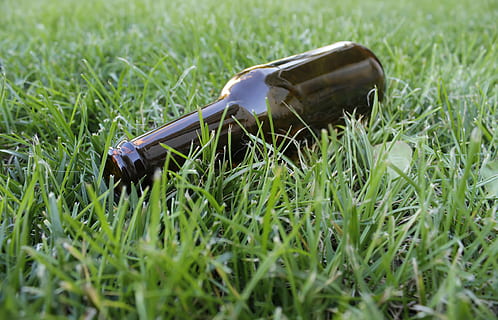 cervesa, ampolla, etiqueta, tapa, marró, refresc, guai, ple, festa, borratxo, llum, humit, aigua, alcohol, beure, begudes, vidre, fred, pub, ale, líquid, lager, barra, ampolla de cervesa, blanc, tirar, disseny, condensació, cerveseria, tassa, verd, símbol, conjunt, planta, herba, color verd, creixement, naturalesa, enfocament selectiu, cap gent, camp, dia, primer pla, equipament, a l'aire lliure, terra, gespa, equips de jardineria, metall, vista d’angle alt, contenidor, agricultura, jardineria, 5K, CC0, domini públic, lliure de regalies