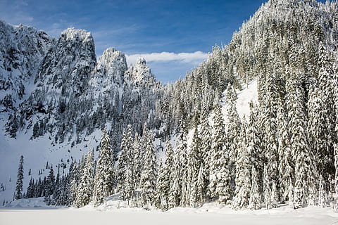snødekte fjell, snø, vinter, hvit, kald, vær, is, trær, planter, natur, skogen, skog, reise, eventyr, fjell, klatre, trek, gå, tre, landskap, utendørs, frost, kaldtemperatur, scenics, årstid, europeiske alper, anlegg, skjønnhet i naturen, naturskjønnhet - natur, land, rolig scene, furutre, ikke-urbane scene, hvit farge, himmel, miljø, ro, ingen folk, nåletre, fjellkjede, furuskog, eviggrønne treet, 5K