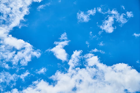 hvide skyer, himmel, Sky, skyer, blå, hvid, atmosfære, luft, plads, ren, rummelig, fred, flyve, høj, landskab, sommer, natur, baggrund, miljømæssige, udendørs, morgen, sæson, sammensætning, smuk, tapet, dag, struktur, det er i luften, abstrakt, utrolig, mønster, store, sky - himmel, skønhed i naturen, baggrunde, scenics - natur, hvid farve, ingen mennesker, cloudscape, lav vinkel visning, meteorologi, ro, miljø, sollys, rolig scene, vind, lyse, tekstureret effekt, tjavsede, 5K, CC0, offentligt domæne, royaltyfrie