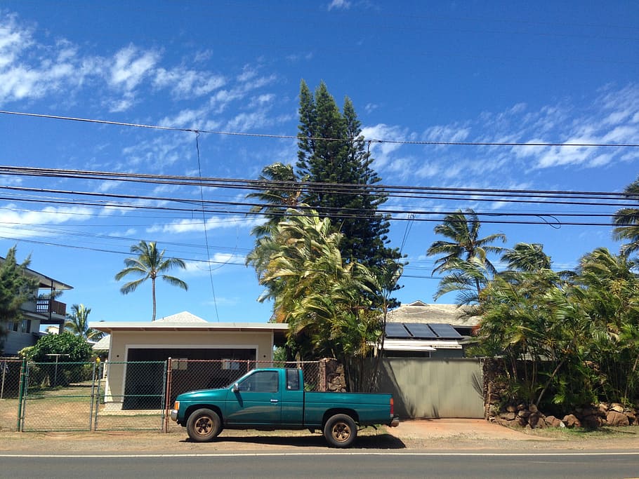 cotxe, vent, gil, transport, arbre, manera de transport, planta, cel, estructura construïda, clima tropical, arquitectura, cable, automòbil, vehicle terrestre, dia, naturalesa, Palmera, exterior de l'edifici, línia elèctrica, blau, cap gent, edifici, electricitat, a l'aire lliure, Font d'alimentació, 2K