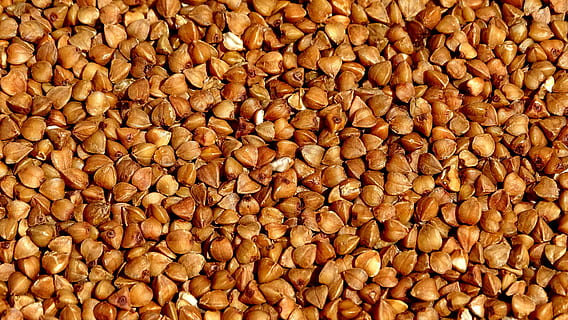 blat sarraí, gra, textura, útil, grans, fons, menjar i beguda, marc complet, gran grup d'objectes, menjar, abundància, frescor, benestar, marró, alimentació saludable, cap gent, natura morta, a la venda, mercat, primer pla, nou, vista d’angle alt, nou - aliments, venda al detall, a l'interior, 5K, CC0, domini públic, lliure de regalies
