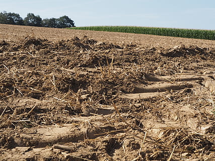 Acker-, Spur, Scholle, Feld, Himmel, Landschaft, Natur, romantisch, Felder, Wiese, Erde, Fahrbahn, Romantik, Land, Pflanze, Landwirtschaft, Ruhe, Umgebung, Baum, Tag, ländliche Szene, ruhige Szene, Schönheit in der Natur, keine Leute, Bauernhof, Szenen - Natur, Sonnenlicht, draußen, Wachstum, 4K, CC0, gemeinfrei, lizenzfrei