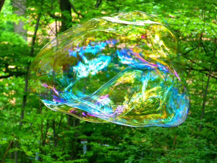 boble, luft, træ, sæbeboble, flyve, vægtløs, glimmer, flyde, luftige, lethed, flyvningen, flydende, fotos billeder, abstrakt, natur, baggrunde, grøn farve, multi farvet, sårbarhed, skrøbelighed, sæbe sud, gennemsigtig, vand, ingen mennesker, Midt i luften, bevægelse, tæt på, dag, udendørs, plante, boblestang, skønhed i naturen, fokus på forgrunden, letvægt, 4K