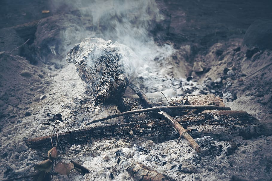 lähikuva-kuva, kokko, savu, nuotio, antaa potkut, mieliala, tumma, puu, focu, metsä, valo, luonto, maa, päivä, palaa, puu - materiaali, savu - fyysinen rakenne, ei ihmisiä, loki, palanut, ulkona, korkea kulma, liekki, lämpö - lämpötila, tuhka, tulipalo - luonnollinen ilmiö, rock, kiinni - kasvi-osa, 4K