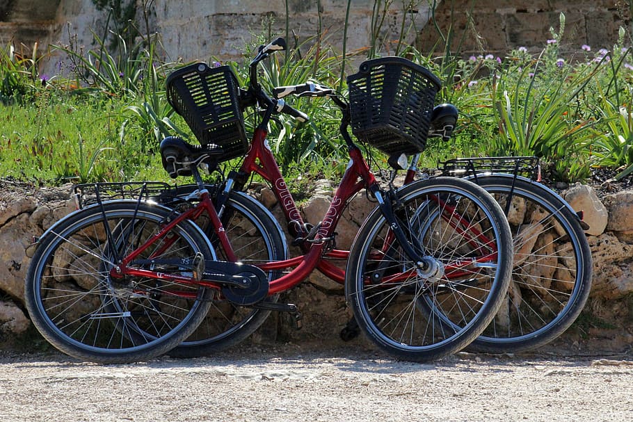 Fahrräder, Fahrräder schieben, zwei, Fahrrad, Zyklus, Transport, Rad, Erholung, Radfahren, Fahrrad fahren, Transportmittel, stationär, Landfahrzeug, Pflanze, Tag, keine Leute, Natur, draußen, Parkplatz, Wachstum, Feld, rot, Land, grüne Farbe, Blatt, Abwesenheit, Korb, 5K