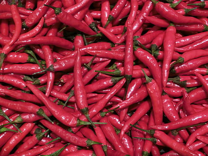 chilli, koření, Červené, ostrý, zelenina, celý rám, zeleniny, jídlo a pití, pozadí, pepř, jídlo, chilli papričky, velká skupina objektů, hojnost, červené chilli papričky, svěžest, nikdo, blahobyt, stálý život, na prodej, vysoký úhel pohledu, Zdravé stravování, trh, 4K, CC0, veřejná doména, bez autorských práv