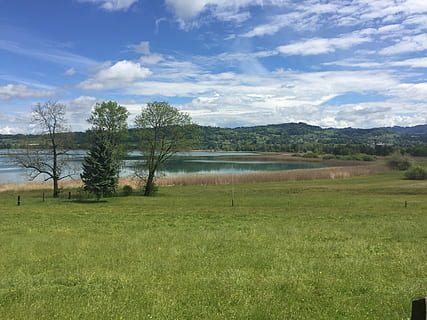 Pfäffikersee, turchese, nuvole, pianta, albero, erba, cielo, scena tranquilla, scenics - natura, la tranquillità, bellezza nella natura, nuvola - cielo, natura, paesaggio, ambiente, acqua, colore verde, giorno, terra, scena non urbana, nessuno, crescita, all'aperto, 2K, CC0, dominio pubblico, privo di copyright