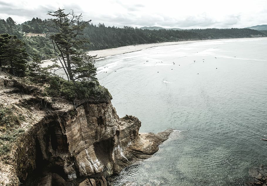 Antenne, Fotografie, Gebirgsklippe, Meer, Karosserie, Wasser, braun, Berg, Cliff, Surfen, Baum, Küste, Küsten, Ufer, Strand, Ozean, Wildnis, draussen, Wald, Nebel, Schönheit in der Natur, Szenen - Natur, ruhige Szene, Pflanze, Ruhe, Rock, Rock - Objekt, Nicht-städtische Szene, Natur, Tag, Himmel, solide, Land, keine Leute, Felsformation, idyllisch, draußen, fließendes Wasser, Formation, 2K