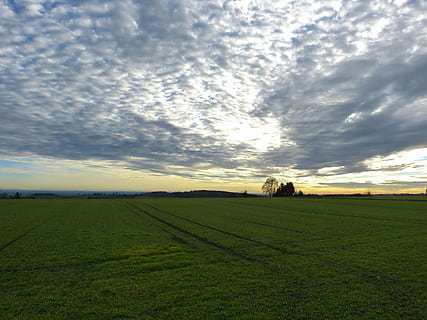 cielo, nuvole, largo, sera, cielo serale, paesaggio, camice svevo, arabile, campo, natura, agricoltura, scena rurale, azienda agricola, nuvola - cielo, prato, all'aperto, scenics - natura, terra, bellezza nella natura, scena tranquilla, ambiente, la tranquillità, pianta, erba, crescita, nessuno, colore verde, tramonto, 4K, CC0, dominio pubblico, privo di copyright