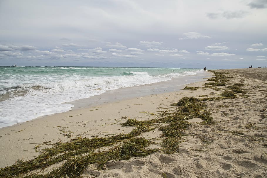 beach, sand, orange, cloudy, palm, tree, nature, ocean, sea, water, horizon, sky, summer, vacation, coast, travel, paradise, tropical, holiday, relax, beach sand, shore, seascape, island, exotic, nobody, coastline, rest, tourism, landscape, seaweed, weed, wave, land, cloud - sky, beauty in nature, scenics - nature, horizon over water, tranquility, motion, tranquil scene, day, travel destinations, aquatic sport, outdoors, no people, 5K