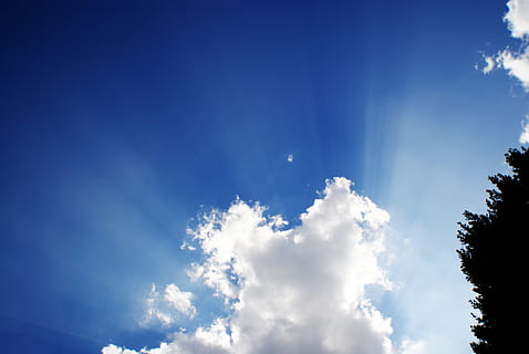 himmel, Sky, sol, radius, blå, kontrast, overskyet, hvid, sky - himmel, lav vinkel visning, skønhed i naturen, ro, natur, rolig scene, dag, træ, scenics - natur, ingen mennesker, idyllisk, udendørs, plante, sollys, kopiere plads, hvid farve, ikke-urbane scene, trætop, meteorologi, 4K, CC0, offentligt domæne, royaltyfrie