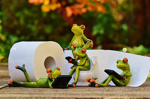 selektiv, fokus fotografering, flere, rød, eyed, træ frosk figurer, ved siden af, hvid, toiletpapirrulle, frø, loo, session, sjov, toiletpapir, Toilet, nuttet, mobiltelefon, grøn, dyr, repræsentation, legetøj, figur, menneskelig repræsentation, ingen mennesker, mad og drikke, natur, plante, kreativitet, Kunst og håndværk, mad, mandlig lighed, dag, fokus på forgrunden, udendørs, tæt på, grøn farve, 4K, CC0, offentligt domæne, royaltyfrie