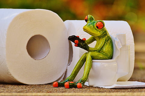 selective, focus photography, green, ceramic, frog figurine, Frog, Toilet, Loo, Session, funny, toilet paper, wc, cute, mobile phone, animal, food and drink, no people, sport, outdoors, day, freshness, representation, food, figurine, art and craft, focus on foreground, creativity, male likeness, toy, close-up, vegetable, human representation, still life, pepper, healthy eating, 4K, CC0, public domain, royalty free