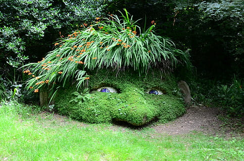 verde, forma di erba, umano, capo, gnomo, nano, occhi, vista, guardare, sfacciato, grueslig, giardino perduto, Heligan, giardino, Inghilterra, Inglese, paesaggio, giardiniere, Regno Unito, famoso, le foglie, natura, pianta, colore verde, crescita, animale, temi animali, albero, erba, nessuno, rappresentazione, rappresentazione animale, giorno, bellezza nella natura, terra, fauna selvatica, all'aperto, scultura, giardino formale, creatività, siepe, 4K, CC0, dominio pubblico, privo di copyright