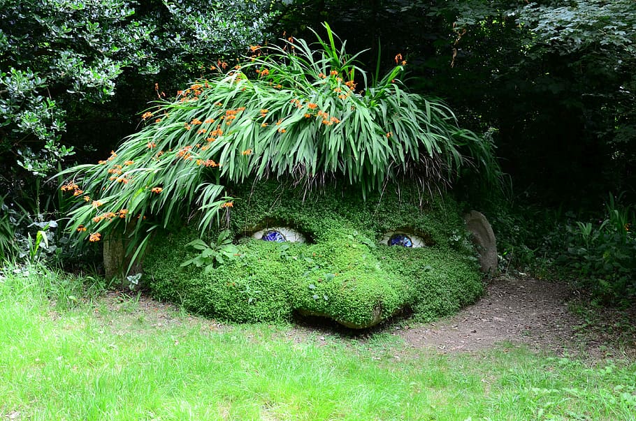 verd, forma d’herba, humà, cap, gnome, nan, ulls, vista, mirar, descarat, grueslig, jardí perdut, heligan, jardí, Anglaterra, anglès, paisatge, jardiner, Regne Unit, famós, fulles, naturalesa, planta, color verd, creixement, animal, temes d'animals, arbre, herba, cap gent, representació, representació animal, dia, bellesa a la natura, terra, fauna animal, a l'aire lliure, escultura, jardí formal, creativitat, cobertura, 4K