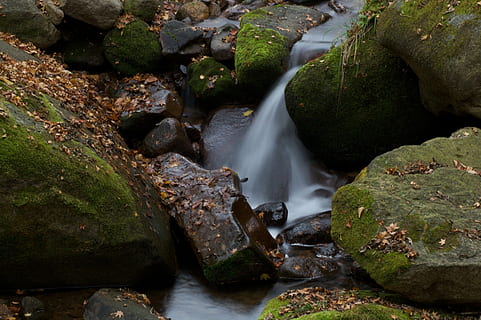 Strom, Wasser, Stein, fallen, China Shenyang, Rock - Objekt, Rock, solide, Szenen - Natur, Schönheit in der Natur, Langzeitbelichtung, Wasserfall, Natur, fließendes Wasser, Bewegung, Land, Baum, Wald, fließend, keine Leute, Pflanze, Bewegungsunschärfe, draußen, Regenwald, Kraft in der Natur, 1080P, CC0, gemeinfrei, lizenzfrei