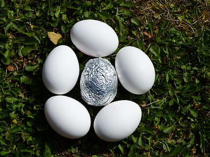 egg, nature, easter nest, easter eggs, aluminium, white, structure, contrast, easter greeting, easter, funny, silver, silvery, rush, green, greeting card, decoration, fun, happy easter, artistically, easter decorations, aluminum foil, tinker, metal, sparkling, shiny, creative, food, plant, food and drink, green color, no people, high angle view, animal egg, vulnerability, day, wellbeing, fragility, white color, land, healthy eating, freshness, growth, close-up, directly above, outdoors, 4K, CC0, public domain, royalty free
