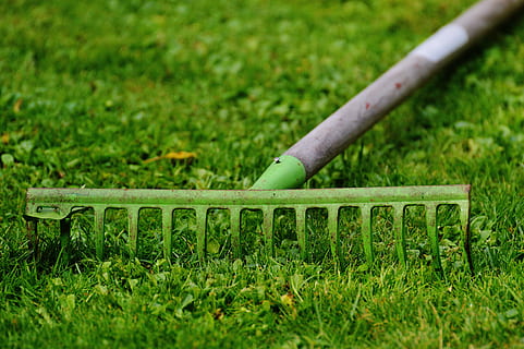 Brun, grøn, haven rake, græs, computing, have, arbejde, havearbejde, natur, frontplade, raking blade, foran eller baggård, udendørs, havearbejde udstyr, grøn farve, ingen mennesker, rør - rør, dag, plante, vækst, Mark, selektiv fokusering, jord, metal, rækværk, tæt på, træ - materiale, høj vinkel visning, fokus på forgrunden, 5K, CC0, offentligt domæne, royaltyfrie