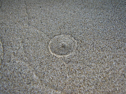 Textur, Sand, Natur, Boden, Erde, natürlich, Land, Strand, sandig, texturiert, draußen, keine Leute, High Angle View, Muster, Vollbild, Tag, Hintergründe, gestalten, Kreis, drucken, Geometrische Figur, Nahansicht, Tier, Rau, Ruhe, 2K, CC0, gemeinfrei, lizenzfrei
