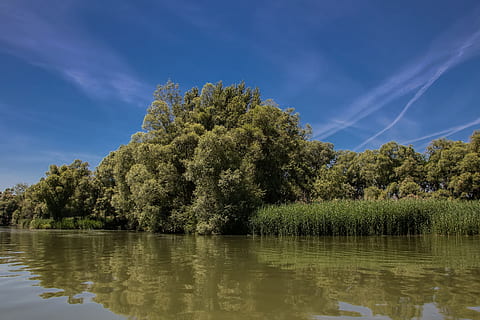 Dunaj, slovensko, Příroda, řeka, bratislava, stromy, strom, rostlina, nebe, voda, odraz, jezero, krása v přírodě, klid, klidné scény, růst, nábřeží, scenics - příroda, nikdo, mrak - nebe, den, zelená barva, idylický, mimoměstské scény, venku, 4K, CC0, veřejná doména, bez autorských práv