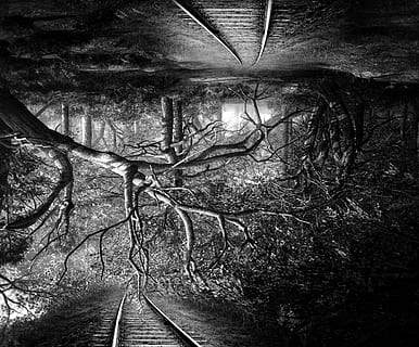 surreal, vice-versa, de cabeça para baixo, panorama, floresta, trilhos, trilho do trem, Sombrio, assustador, árvore, filiais, Preto branco, plantar, transporte, ninguém, natureza, o caminho a seguir, dia, direção, ramo, rastrear, ao ar livre, tranquilidade, terra, crescimento, scenics - natureza, cena tranquila, ferrovia, árvore nua, beleza na natureza, 5K, CC0, domínio público, royalty free