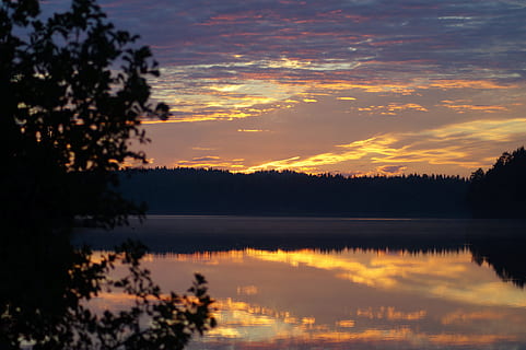 solnedgang, buske, sommer, Svensk, vand, afspejling, himmel, ro, skønhed i naturen, træ, sky - himmel, sø, scenics - natur, plante, rolig scene, silhuet, natur, idyllisk, orange farve, ingen mennesker, ikke-urbane scene, dramatisk himmel, udendørs, refleksions søen, romantisk himmel, 5K, CC0, offentligt domæne, royaltyfrie