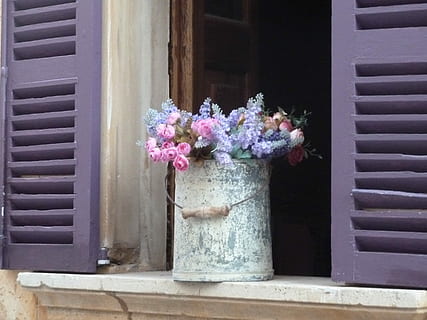 sortiert, Blumen, Stahleimer, Fenster, stehlen, Eimer, Blume, Deko, Tür, Türöffnung, keine Leute, Tag, blühende Pflanze, Pflanze, Eingang, Frische, die Architektur, Gebäudehülle, gebaute Struktur, Natur, pinke Farbe, draußen, Verletzlichkeit, Zerbrechlichkeit, Schönheit in der Natur, Wachstum, Dekoration, lila, Blumentopf, 2K, CC0, gemeinfrei, lizenzfrei