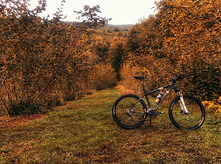 hardtail cykel, græsfelt, træer, sort, hvid, road cykel, efterår, Skov, træ, cykel, mountainbike, udendørs, livsstil, fritid, landskab, blad, rødt blad, natur, orange, plante, jord, transportmidler, land køretøj, lave om, dag, vækst, ro, ingen mennesker, skønhed i naturen, transportform, Mark, stationær, orange farve, rolig scene, ikke-urbane scene, 2K, CC0, offentligt domæne, royaltyfrie