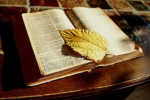 blanc, imprimé, page du livre, jaune, feuille, Bible, lis, livre, signet, Foi, Christian, table, publication, texte, la communication, à l'intérieur, personne, croyance, éducation, compétence, ouvrir, fermer, spiritualité, nature morte, papier, religion, bois - matériau, vue grand angle, vieux, page, antique, livre à couverture rigide, 4K, CC0, domaine public, libre de droits