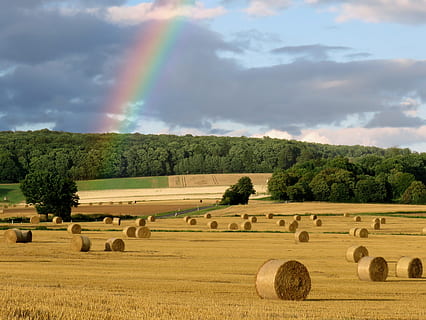 regnbue, vejr, humør, himmel, naturligt skuespil, naturligt fænomen, regnbue farver, skyer, brydning, vejrfænomen, halm ruller, strå, stubbe, Mark, halmbaler, balle, landbrug, landlige scene, hø, natur, gård, sommer, landskab, høst, udendørs, afgrøde, scenics, ikke-urbane scene, hvede, rullet op, gul, eng, efterår, blå, guldfarvet, ingen mennesker, jord, dag, sky - himmel, plante, skønhed i naturen, scenics - natur, rolig scene, træ, miljø, ro, 2K, CC0, offentligt domæne, royaltyfrie