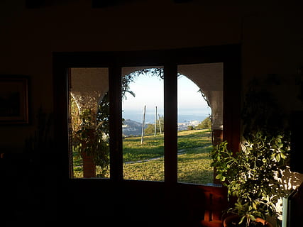 finestra, chiaro scuro, paesaggio, mare, pianta, architettura, in casa, struttura costruita, nessuno, natura, albero, vetro - materiale, costruzione, trasparente, cielo, crescita, giorno, Casa, bellezza nella natura, terra, colonna architettonica, 4K, CC0, dominio pubblico, privo di copyright