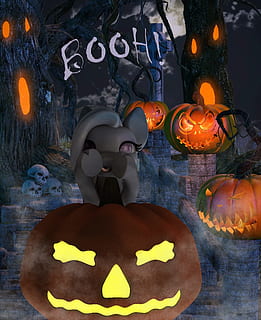 pony, dolce, carina, bianca, raccapricciante, zucche, arancia, blu, lontano, nebbia, animale mitico, Halloween, autunno, spavento, divertimento, rappresentazione, arte e artigianato, celebrazione, creatività, nessuno, rappresentazione umana, avvicinamento, illuminato, viso, volto antropomorfico, decorazione, raggiante, vacanza - evento, in casa, attrezzatura per l'illuminazione, mestiere, jack o 'lantern, 1080P, CC0, dominio pubblico, privo di copyright
