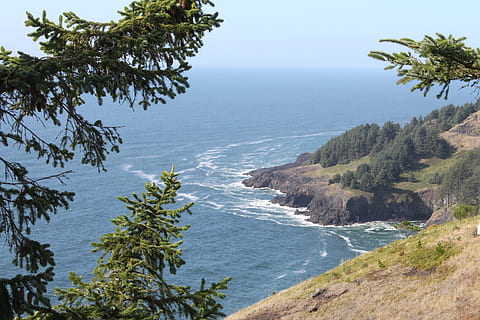 oregon, coastă, peisaj, ocean, Pacific, mare, apă, natură, de coastă, mal, călătorie, pitoresc, plajă, în aer liber, albastru, linia țărmului, surf, maree, stâncos, Statele Unite ale Americii, litoral, nisip, piatră, parc, cer, malul marii, valuri, pe malul oceanului, plantă, copac, frumusețe în natură, creştere, scenice - natura, liniște, o scenă liniștită, teren, zi, nici o persoana, scenă non-urbană, orizontul peste apă, idilic, 1080P, CC0, domeniu public, fără drepturi de autor