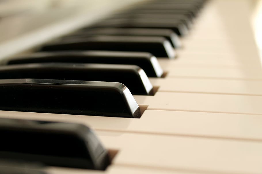 profunditat, fotografia de camp, teclat, piano, música, instruments, claus, partitures, so, dansa, auditori, sintetitzador, músic, prova, instrument musical, clau de piano, en fila, cultura i entreteniment artístic, color negre, a l'interior, primer pla, cap gent, equipament musical, enfocament selectiu, perspectiva decreixent, Color blanc, instrument de teclat, absència, material de fusta, rendiment, música clàssica, 1080P
