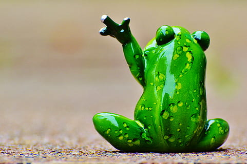Frosch, Welle, Abschied, lustig, süß, Zahl, Süss, grüne Farbe, Tier, Natur, keine Leute, Nahansicht, Tierthemen, draußen, Tierdarstellung, Tag, Tierwelt, Essen und Trinken, Lebensmittel, Darstellung, Amphibie, Frische, Reptil, Gemüse, ein Tier, einzelnes Objekt, 4K, CC0, gemeinfrei, lizenzfrei
