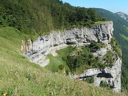 rocce, montagna, vercors, pianta, bellezza nella natura, albero, roccia, scenics - natura, scena tranquilla, la tranquillità, acqua, natura, crescita, roccia - oggetto, giorno, colore verde, terra, nessuno, solido, formazione rocciosa, scena non urbana, all'aperto, formazione, 2K, CC0, dominio pubblico, privo di copyright