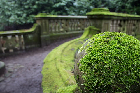 pod, râu, timp, pod, râu, vară, arhitectură, vechi, piatră, verde, parc, în aer liber, Culoarea verde, nici o persoana, zi, mușchi, să se concentreze asupra primelor elemente, plantă, copac, natură, creştere, grădină, liniște, grădină formală, topiara, parc - om spațiu făcut, gard viu, frumusețe în natură, construită, 4K, CC0, domeniu public, fără drepturi de autor