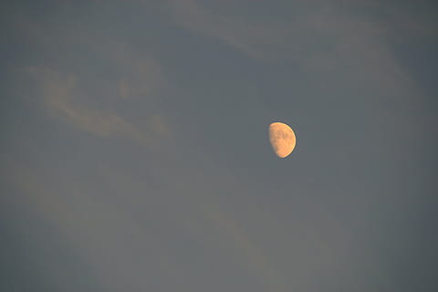 lune, journée, moitié, hiver, dramatique, fantaisie, clôture, de plein air, scénique, lumière, ciel, bleu, le coucher du soleil, espace, astronomie, nuit, beauté dans la nature, scène tranquille, paysages - nature, tranquillité, la nature, lune planétaire, personne, faible angle de vue, idyllique, en plein air, nuage - ciel, pleine lune, exploration de l'espace, cercle, majestueux, astrologie, espace et astronomie, éclipse, clair de lune, 5K, CC0, domaine public, libre de droits