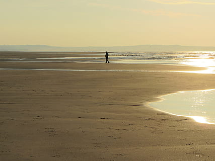 home, mercat, platja, tarda, pas de calais, França, posta de sol, mar, sorra, caminar, silueta, gavines, terra, aigua, escenics - natura, persones reals, cel, bellesa a la natura, una persona, horitzó sobre l’aigua, horitzó, escena tranquil·la, tranquil·litat, naturalesa, estils de vida, activitat d'oci, a l'aire lliure, 4K, CC0, domini públic, lliure de regalies