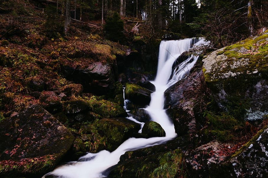 Příroda, voda, les, potok, zátoka, zdroj, proud, vodopád, strom, scenics - příroda, dlouhé expozice, krása v přírodě, pohyb, tekoucí voda, rostlina, Skála, rozmazaný pohyb, přistát, rock - objekt, pevný, tekoucí, venku, životní prostředí, proud - tekoucí voda, moci, padající voda, 5K