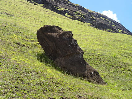 socha moai, rapa, nui, Velikonoční ostrov, rapa nui, Chile, moai, hangaroa, rostlina, zelená barva, tráva, Příroda, krása v přírodě, den, nikdo, přistát, zvíře, krajina, zvířat, klid, pole, nebe, životní prostředí, savec, jednoho zvířete, scenics - příroda, strom, růst, venku, 2K, CC0, veřejná doména, bez autorských práv