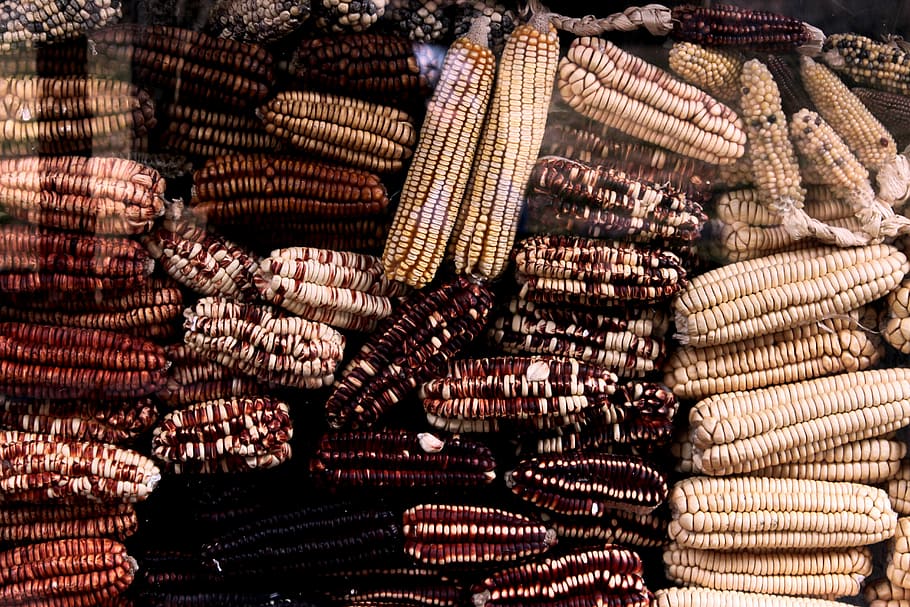 ascuțite, buchet, maro, negru, alb, bătături, porumb, cereale, camp, fermă, piaţă, dulce, alimente, abundenţă, grup mare de obiecte, grămadă, mancare si bautura, cadru complet, nici o persoana, fundaluri, zi, în aer liber, a închide, model, natură moartă, variație, alegere, de vânzare, în interior, sac, cu amănuntul, textil, aranjament, Colectie, 5K