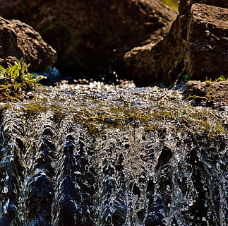acqua, bach, natura, foresta, muschio, paesaggio, flusso, chiaro, roccia, pietra, torrente, cristallino, acqua corrente, acque, mormorio, roccia - oggetto, nessuno, solido, bellezza nella natura, giorno, avvicinamento, movimento, albero, pianta, all'aperto, formazione rocciosa, ruvido, concentrarsi sulle conoscenze acquisite, la tranquillità, fluente, acqua che cade, 4K, CC0, dominio pubblico, privo di copyright