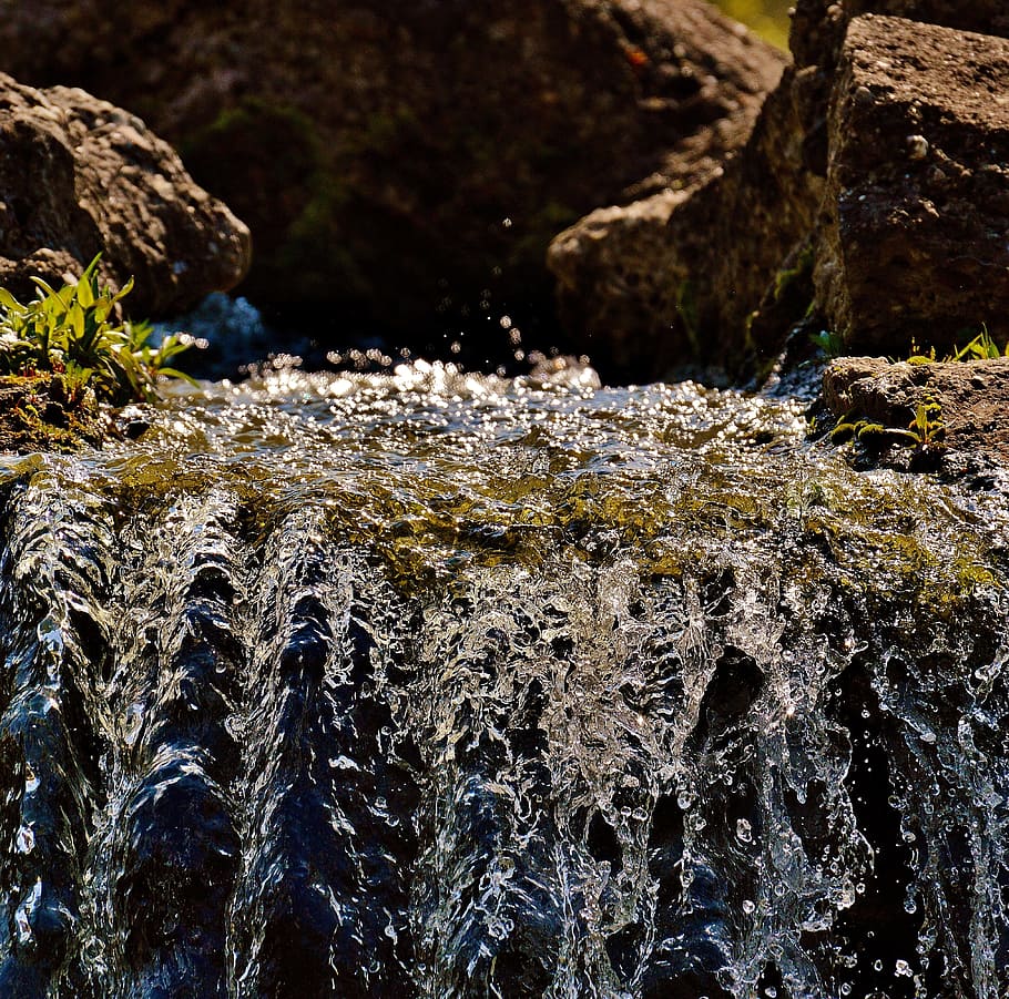acqua, bach, natura, foresta, muschio, paesaggio, flusso, chiaro, roccia, pietra, torrente, cristallino, acqua corrente, acque, mormorio, roccia - oggetto, nessuno, solido, bellezza nella natura, giorno, avvicinamento, movimento, albero, pianta, all'aperto, formazione rocciosa, ruvido, concentrarsi sulle conoscenze acquisite, la tranquillità, fluente, acqua che cade, 4K
