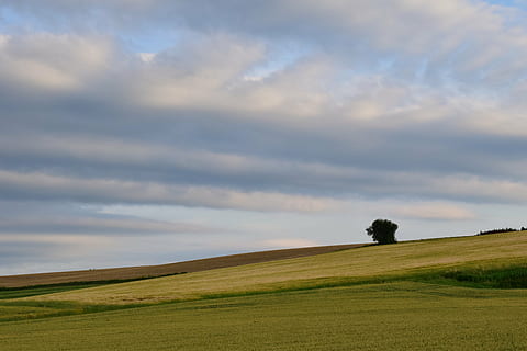 cielo, nuvole, blu, nuvole scure, forma di nuvole, cielo coperto, paesaggio, solitario, spingendo, allerta precoce, forte, nuvola - cielo, ambiente, scenics - natura, terra, bellezza nella natura, scena tranquilla, erba, la tranquillità, campo, pianta, scena non urbana, natura, nessuno, idilliaco, orizzonte, colore verde, orizzonte sopra terra, scena rurale, all'aperto, paesaggio ondulato, 5K, CC0, dominio pubblico, privo di copyright