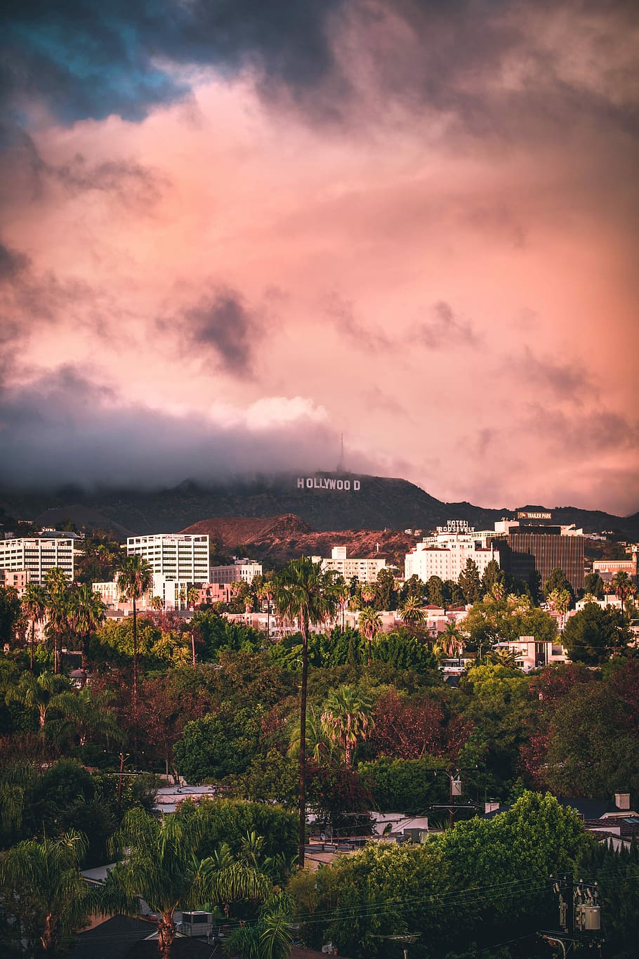 hollywood tegn, los angeles, Foto, solnedgang, solopgang, Sky, landskab, Hollywood, bygning udvendig, arkitektur, bygget struktur, by, sky - himmel, bygning, himmel, bybilledet, boligområde, høj vinkel visning, natur, plante, ingen mennesker, træ, bjerg, dramatisk himmel, udendørs, byliv, 5K